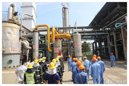 枝江消防聯(lián)合湖北省化肥廠開(kāi)展石油化工場(chǎng)所災(zāi)害事故處置實(shí)戰(zhàn)演練