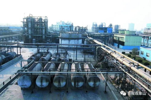 高大上 項目加持,膠州灣東岸這片區(qū)域?qū)⒃俅稳A麗綻放